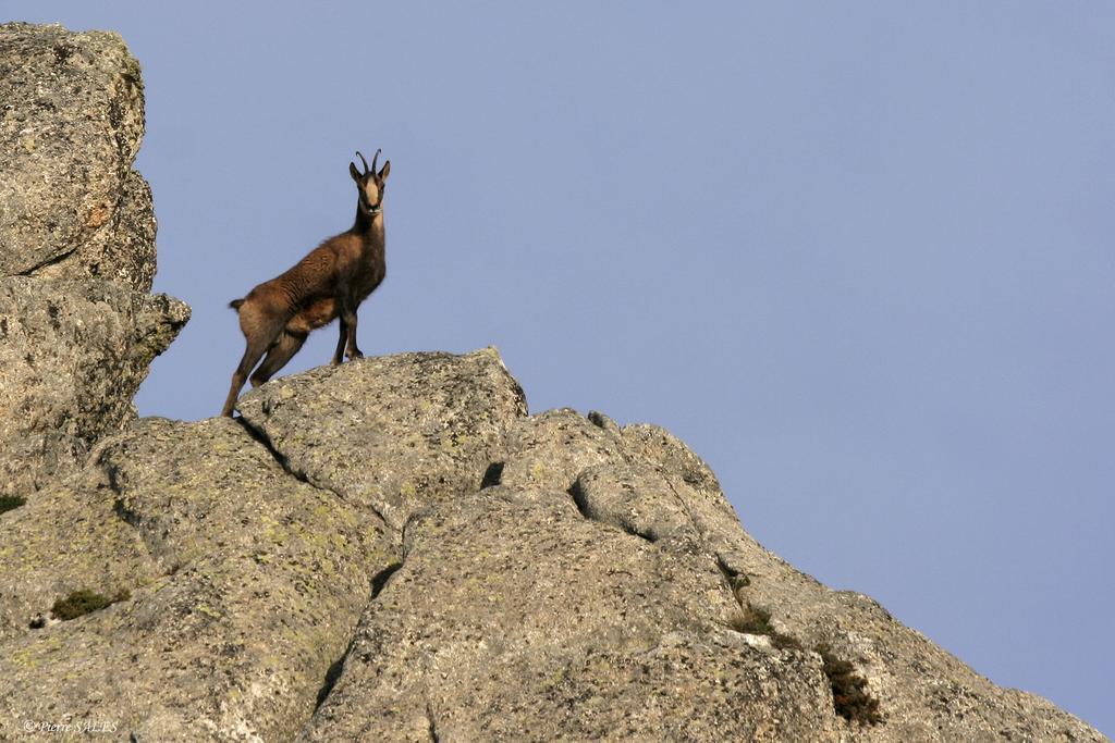 Vvf Pyrenees Canigou Пратс-де-Моло-ла-Прест Екстериор снимка
